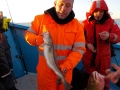 DSCN0285