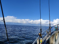 IMG_20200826_165615