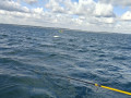 IMG20250810094933