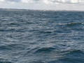 IMG20250810105150