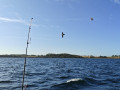 IMG20250824085719