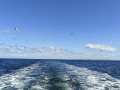 IMG20250824114120