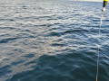 IMG20250914073726