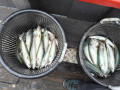 IMG20250914092721