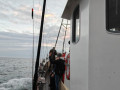 IMG20260830062538