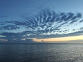 IMG20261004065325