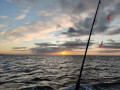 IMG_20211121_080516