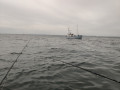 IMG_20220807_090645