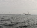 IMG_20220925_101645__01