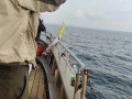 IMG_20220925_102733