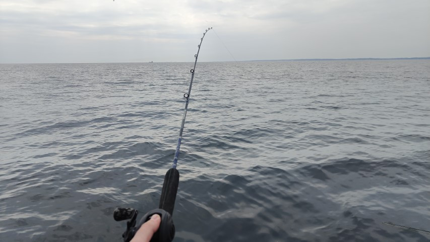 IMG20230416125914