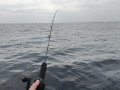 IMG20230416125914