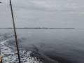 IMG20230416163918