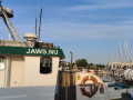 IMG20230625055309