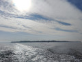 IMG20230625081955
