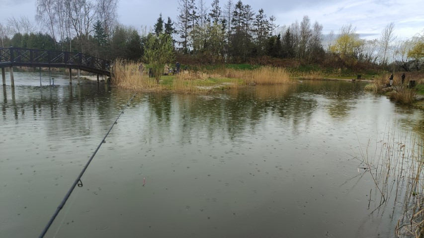 IMG20240407111622