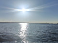 IMG20240512065831