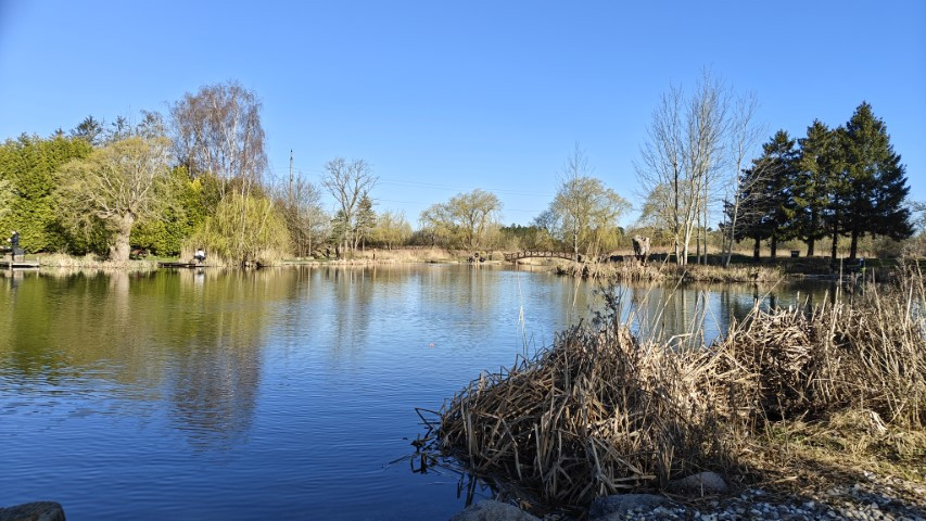 IMG20250406091802