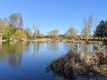 IMG20250406091802