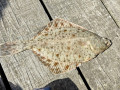 IMG202504261207233