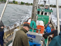 IMG20260531070319