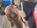IMG20260628110042