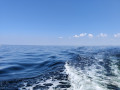IMG_20200816_115632